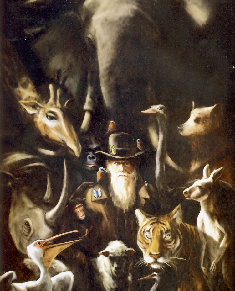 DarwinBiodiversité