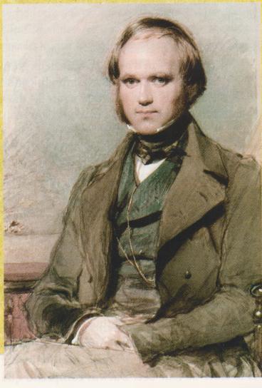 DarwinDJeune